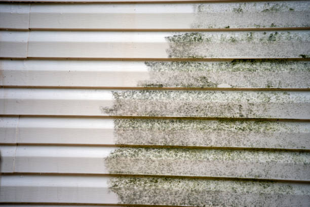 Affordable siding repair and maintenance services in Laurence Harbor, NJ
